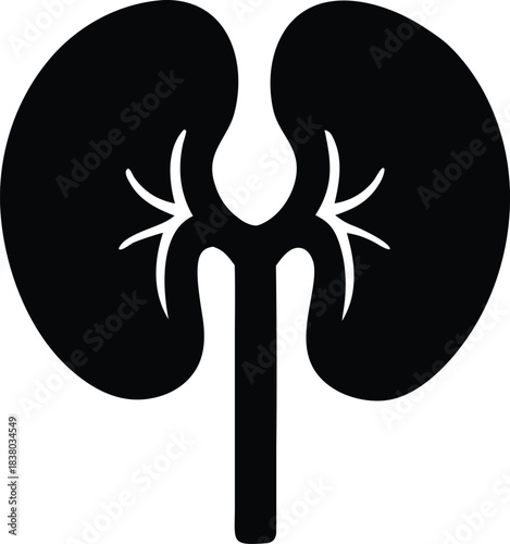 kidney icon, simple anatomical shape vector