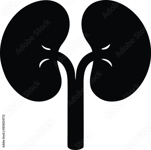 Kidney vector icon, simple medical symbol for anatomy