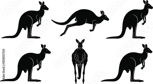 Kangaroo silhouette illustration, wildlife vector, jumping kangaroo pose, Australian animal clipart, black kangaroo icon, nature design, educational asset