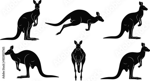 Kangaroo silhouette, jumping kangaroo, wildlife vector, Australian animal, marsupial pose, black silhouette, kangaroo clipart, nature icon, kangaroo art, kangaroo design