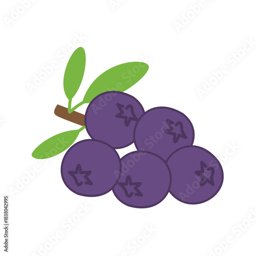 sloe berries branch with leaves fresh fruit