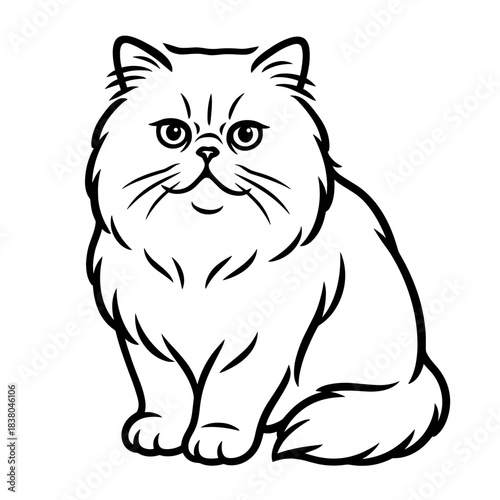 Persian cat illustration, realistic, minimal details, black and white