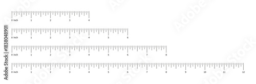 Ruler scale set, measuring chart with 4, 6, 8, 12 inches with numbers. Length measurement distance, height, math. Template of sewing tool.