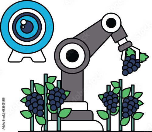A robot is picking grapes from a vineyard