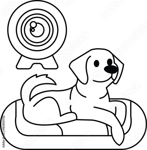 A dog is laying on a bed with a camera in the background