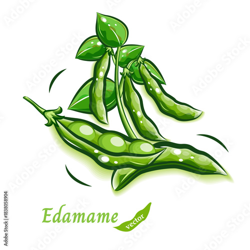 枝豆のポップで可愛らしいタッチのイラスト｜新鮮な野菜のベクター素材