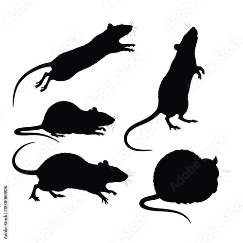 Silhouettes of several mice in various poses against a white background
