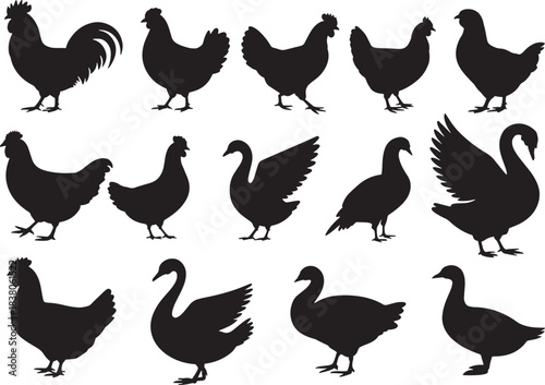 Collection of poultry and waterfowl silhouettes