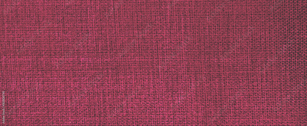 Fototapeta premium fabric texture background