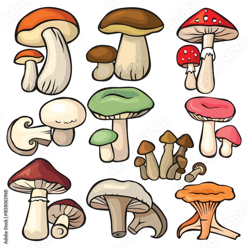 A vibrant and diverse graphic illustration set featuring various wild mushroom species, showcasing the beautiful forms and natural essence of fungi for design projects