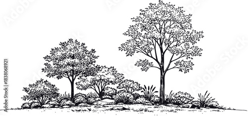 Dense naturalistic cluster of deciduous trees and vegetation for architectural visualization