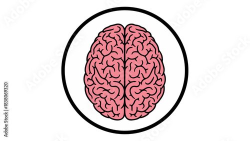Top View of a Pink Human Brain Inside a White Circle Against a Black Background Simple Vector Illustration Representing Intelligence and Neuroscience