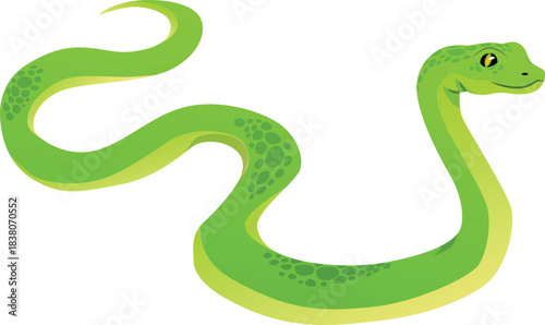 Cartoon green snake, exotic animal, terrarium pet, icon.