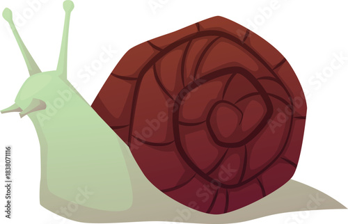 Snail with spiral shell, cartoon cochlea insect, exotic pet animal, vector flat terrarium and aquarium animal