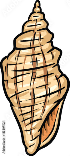 Hand drawn clipart illustration of seashell shell mollusc seaside shellfish