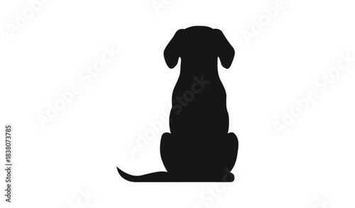 Silhouette of a dog sitting and facing away from the camera