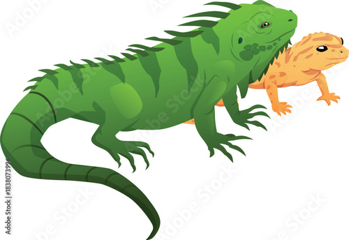 Green iguana and yellow lizard icon, standing next to each other, exotic pets.