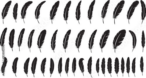 Collection of black feather silhouettes in various shapes	