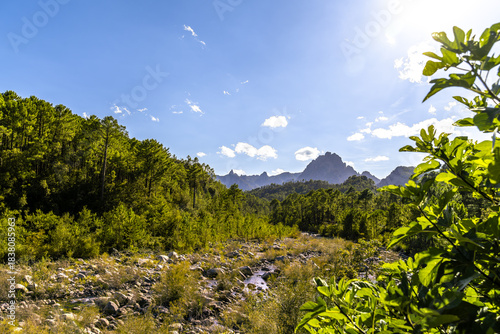 Wallpaper Mural Wildes Flussbett in idyllischer Berglandschaft auf Korsika Torontodigital.ca