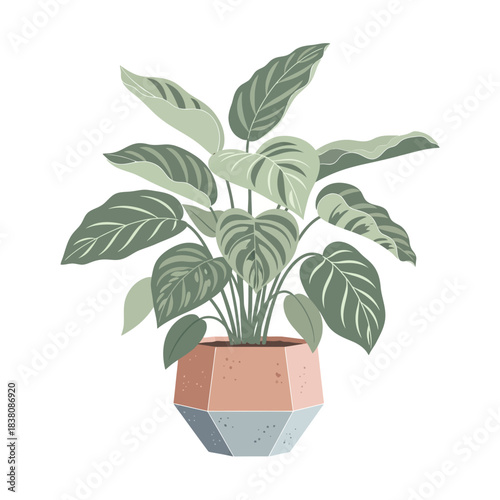 Indoor plant portrait exhibiting soothing green hues and geometrical aesthetic style interior