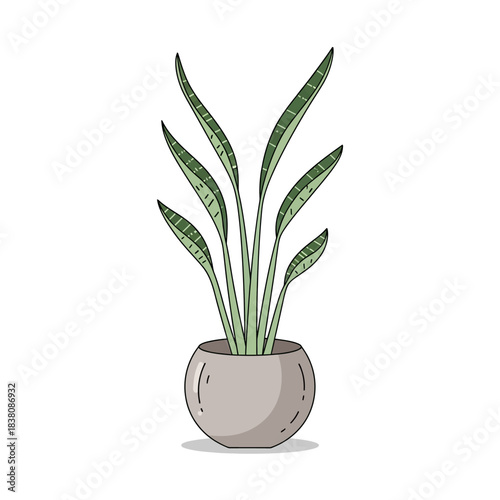 Stylized snake plant illustration in a spherical pot providing minimalist decor