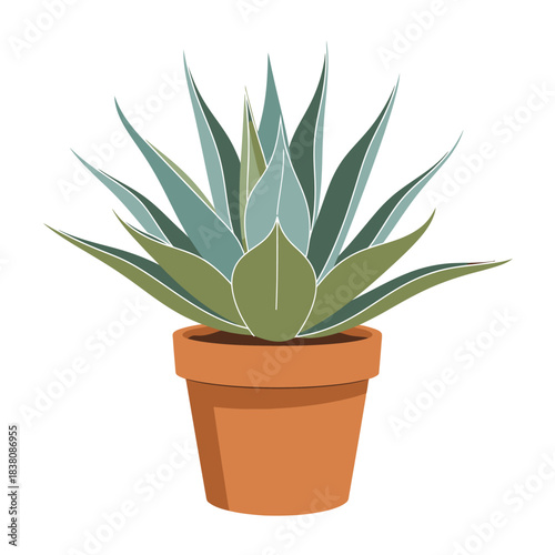 Stylized agave plant in a terracotta pot illustration creating natural simplicity