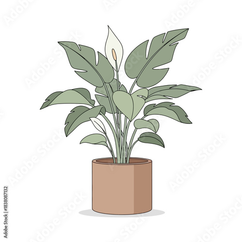 Stylized Peace Lily Illustration: A serene botanical art piece with elegant simplicity