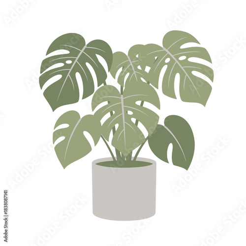Minimalist monstera deliciosa illustration in a simple pot on clean backdrop offering serene vibe