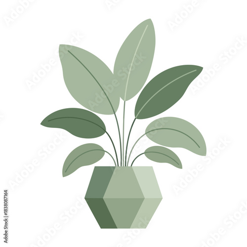 Minimalist botanical illustration of a potted houseplant with geometric container forming an