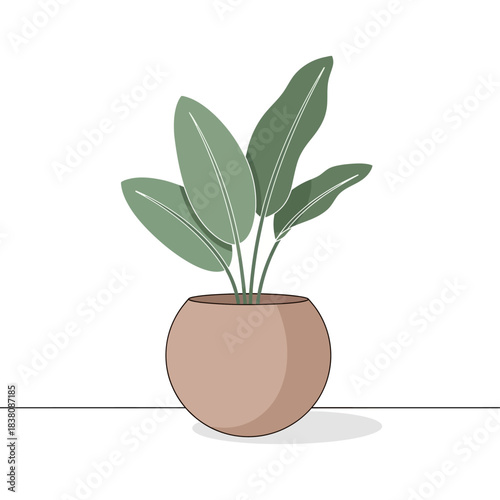 Stylized botanical illustration of a houseplant in a spherical pot offering a calming zen vibe