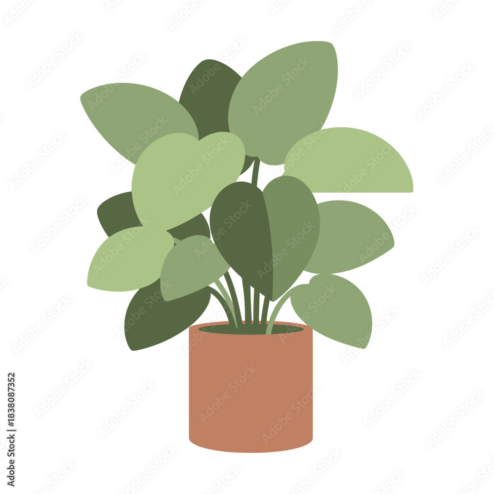 Fototapeta premium Stylized indoor plant with rounded leaves in terracotta pot illustration art