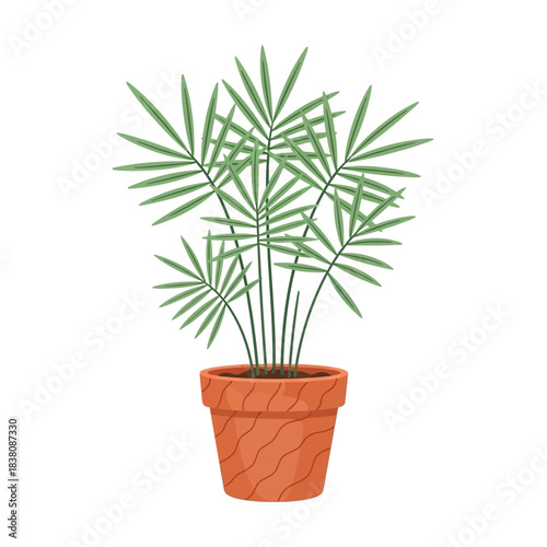 Elegant indoor palm houseplant illustration offering a vibrant touch of nature