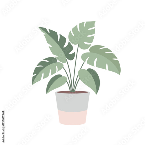 Stylized houseplant illustration portraying tranquility and the beauty of nature indoors