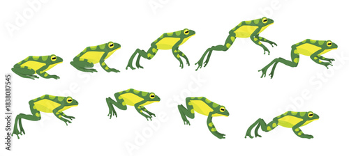 Frog jumping animation icon set. Sequences or footage for motion design. Cartoon toad jumping, animal movement concept. Animated process of frogs leaps sequence, vector illustration