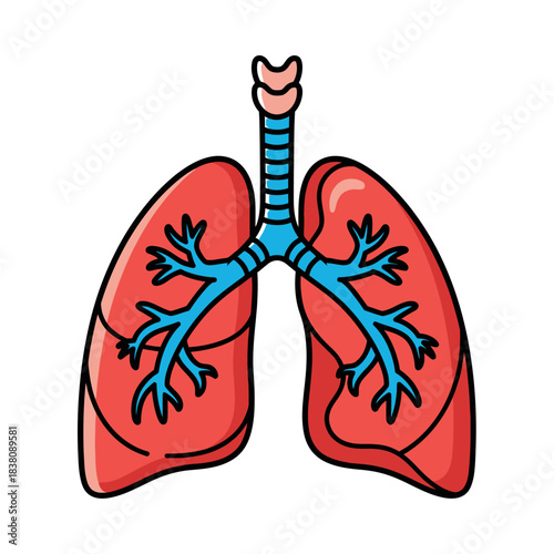 Stylized anatomical lungs illustration featuring trachea and branching bronchi depiction for