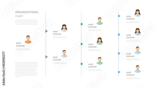 Horizontal company management structure, company hierarchy, organization structure diagram