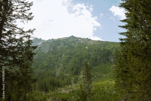 Fototapeta Naklejka Na Ścianę i Meble -  Landscape Tatra National Park 