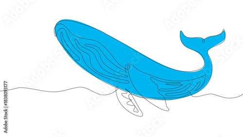 Continuous one line drawing wild whale fish swimming in the sea life. Marine animal digital concept. Blue whale and scuba diver under ocean water. Single line draw design vector graphic illustration  