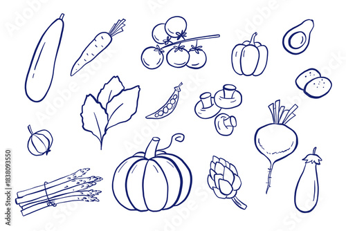 Doodle vegetables hand drawn illustrations set. Outline pumpkin, zucchini, carrot and tomatoes sketch isolated on white background