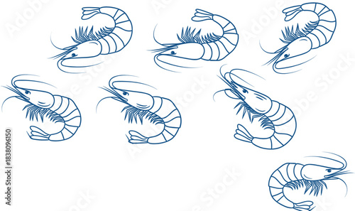 Seamless shrimp pattern with hand drawn line art seafood elements in blue monochrome vector illustration