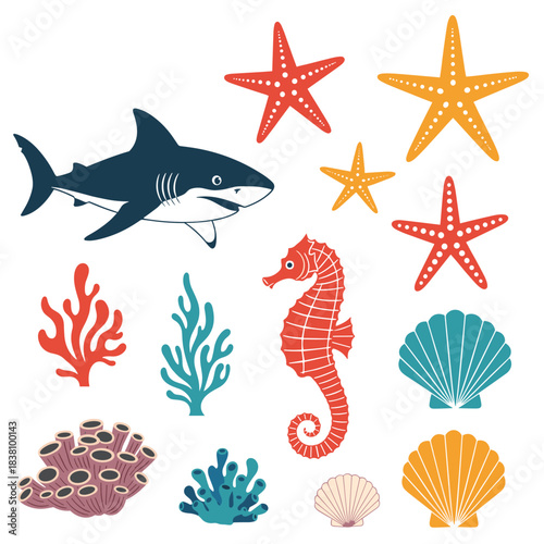 A colorful collection of marine life illustrations including a shark a seahorse starfish shells and various corals.