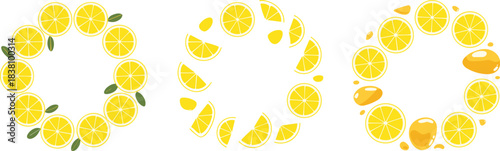 Lemon wreath vector set featuring citrus slices, wedges, leaves, and juice elements arranged in decorative circular designs.