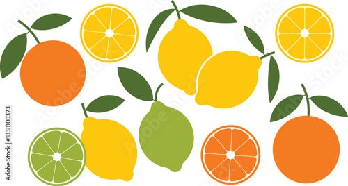 Bright citrus fruit vector collection featuring oranges, lemons, limes, slices, wedges, and fresh colorful citrus illustrations with leaves.