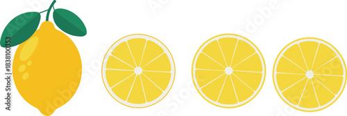 Bright lemon fruit vector illustration featuring whole lemon with leaves and multiple sliced lemon rounds in clean modern style.