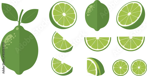 Green lime fruit vector collection featuring whole limes, lime slices, wedges, halves, and fresh citrus illustrations in modern flat style.