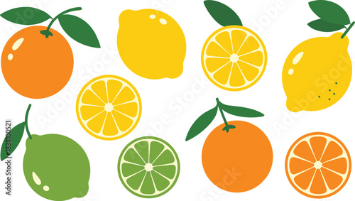 Bright citrus fruit vector collection featuring oranges, lemons, limes, whole fruits, slices, wedges, and fresh colorful illustrations.