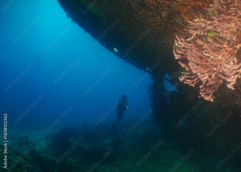 Fototapeta premium Diver Exploring Sunken Ship in Aruba