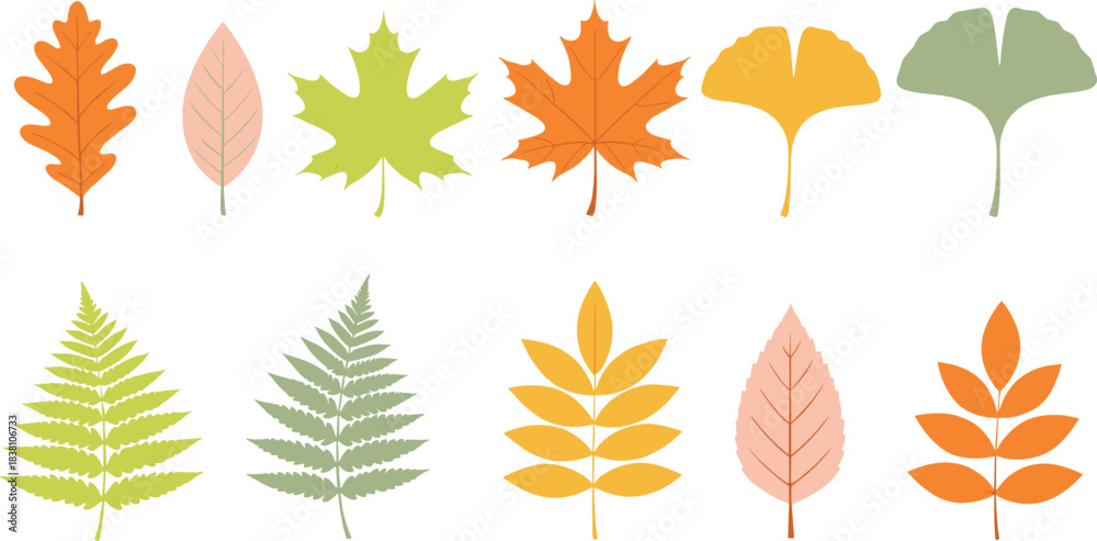 Obraz premium Flat botanical leaf collection featuring maple, oak, ginkgo and fern leaves in soft autumn colors vector set