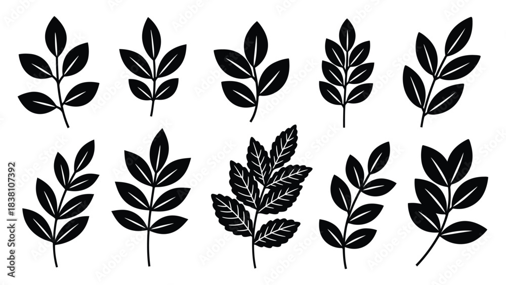 Obraz premium Set of Black Silhouettes of Various Plant Leaves and Branches