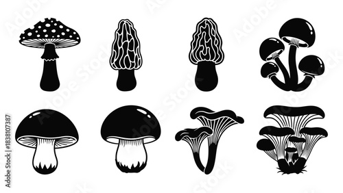 Set of black silhouette illustrations of different types of mushrooms